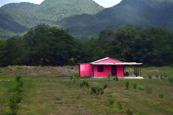 CUBA_6524 On the road to Vinales - Pretty in pink