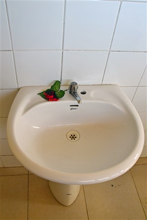 CUBA_6689 On the road to Vinales - Flowers in the men's room at the rest stop