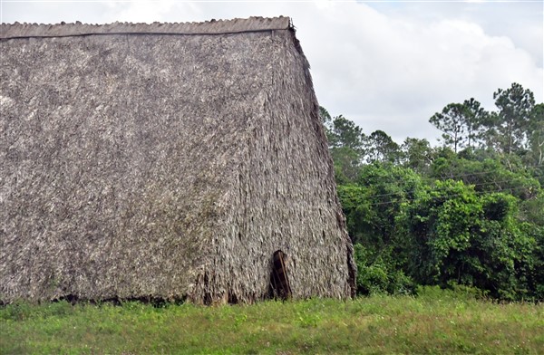 CUBA_6825 On the road to Vinales - Tabacco barn