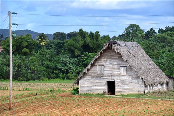 CUBA_6838 Tabacco barns are everywhere
