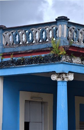 CUBA_6847 Plant friendly architecture