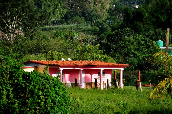 CUBA_6963 Walking around Vinales