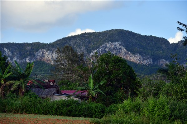 CUBA_6969 Mogotes