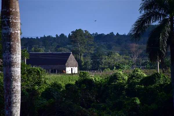 CUBA_7011 Farmland