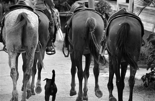 CUBA_6879bw