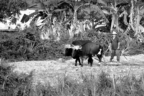 CUBA_6989bw