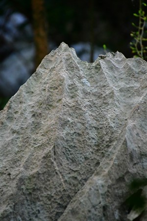 CUBA_7183 Water-eroded mogote limestone