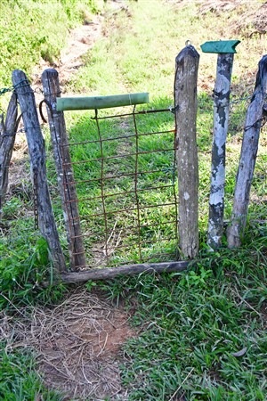 CUBA_7237 Farm gate on top of the mogote