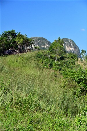 CUBA_7244 Mogotes