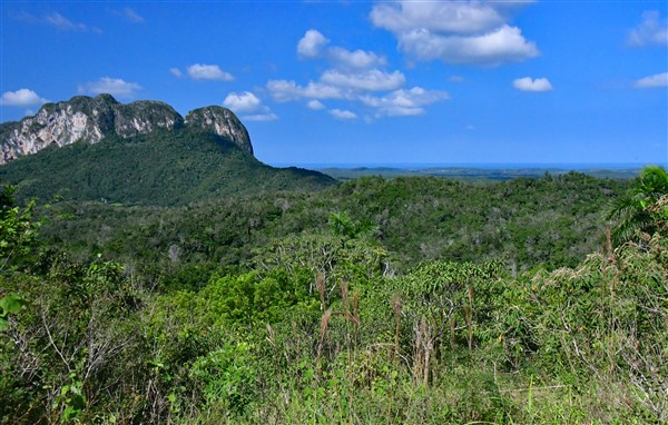 CUBA_7265 View from the mogote