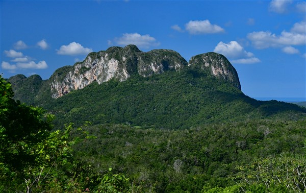 CUBA_7266 View from the mogote