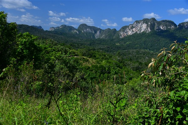 CUBA_7270 View from the mogote