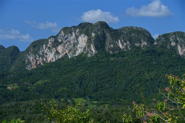 CUBA_7272 View from the mogote