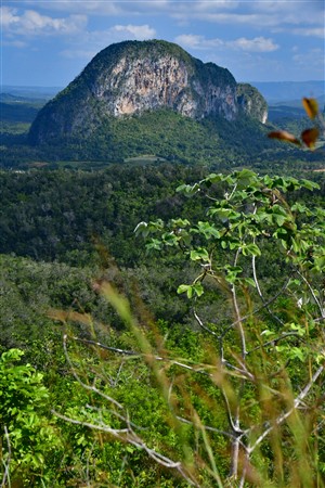 CUBA_72842 View from the mogote