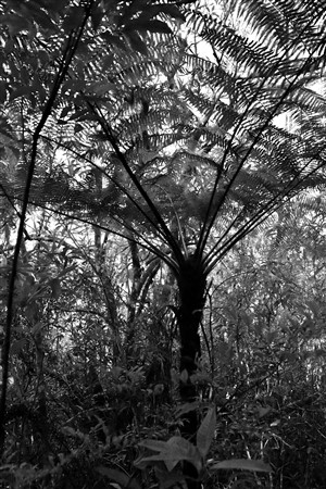 CUBA_7203bw