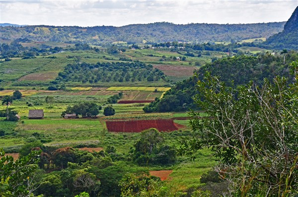 CUBA_7306 View of Vinales valley