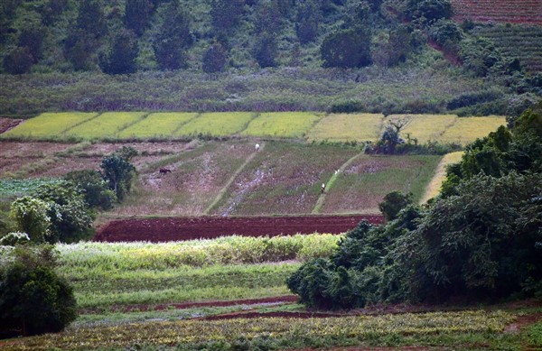 CUBA_7309 View of Vinales valley