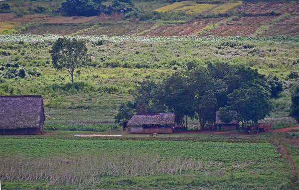 CUBA_7310 View of Vinales valley