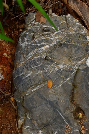 CUBA_7317 Limestone on trail