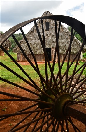 CUBA_7364 Old tobacco cart wheel and tobacco barn