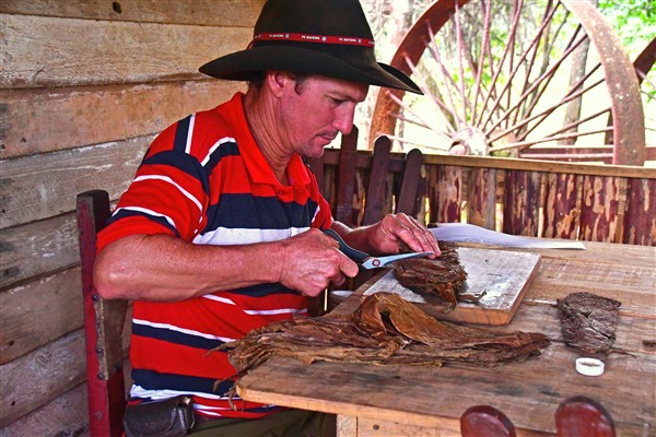 CUBA_7383 Making cigars