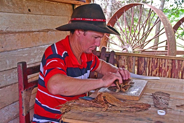 CUBA_7384 Making cigars