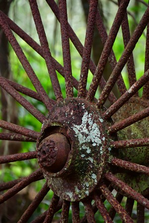 CUBA_7414 Old tobacco cart wheel