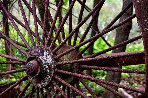 CUBA_7415 Old tobacco cart wheel
