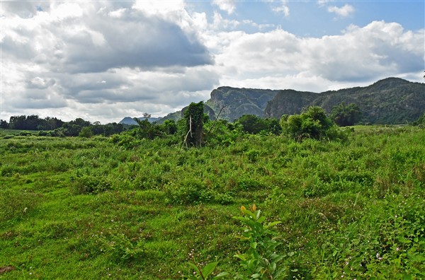 CUBA_7460 Fallow land