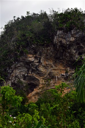 CUBA_7475 Limestone and leached minerals