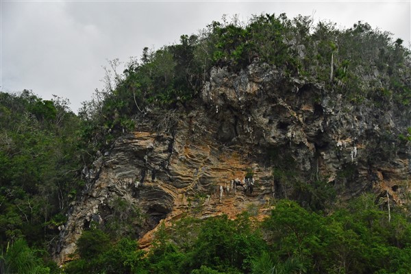 CUBA_7479 Limestone and leached minerals