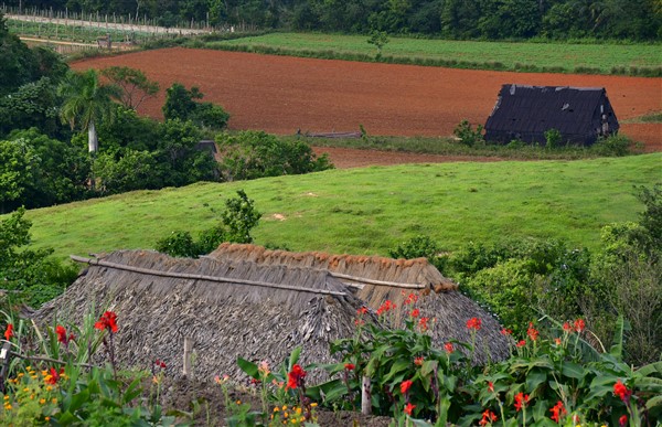 CUBA_7529 Valley view from the organic restaurant