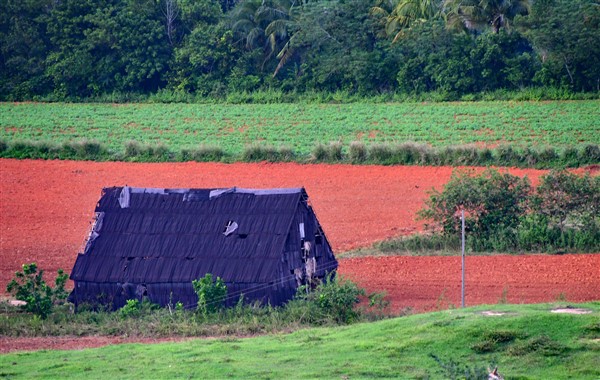 CUBA_7534 Valley view from the organic restaurant