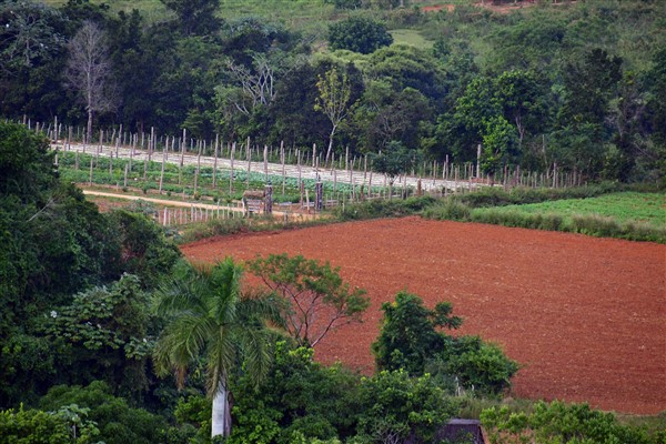 CUBA_7535 Valley view from the organic restaurant