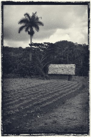 CUBA_7351_copy