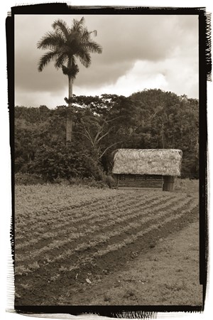 CUBA_7351_copy2