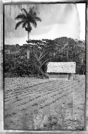 CUBA_7351_copy3