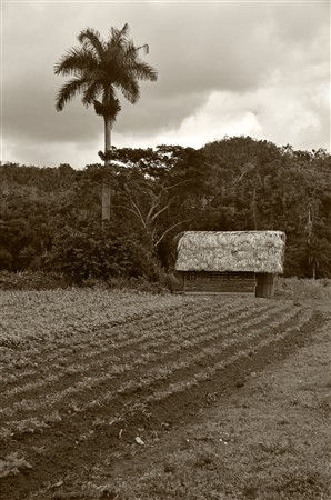 CUBA_7351_copya