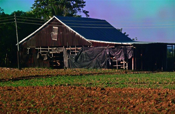 CUBA_7671 Barn