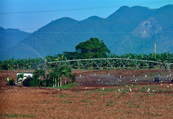 CUBA_7726.jpg