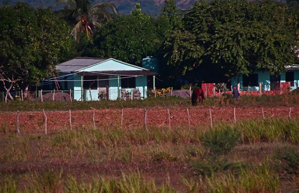 CUBA_7748 Homestead