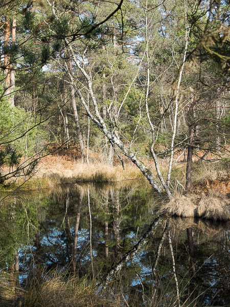 Triple reflet-6123l.jpg