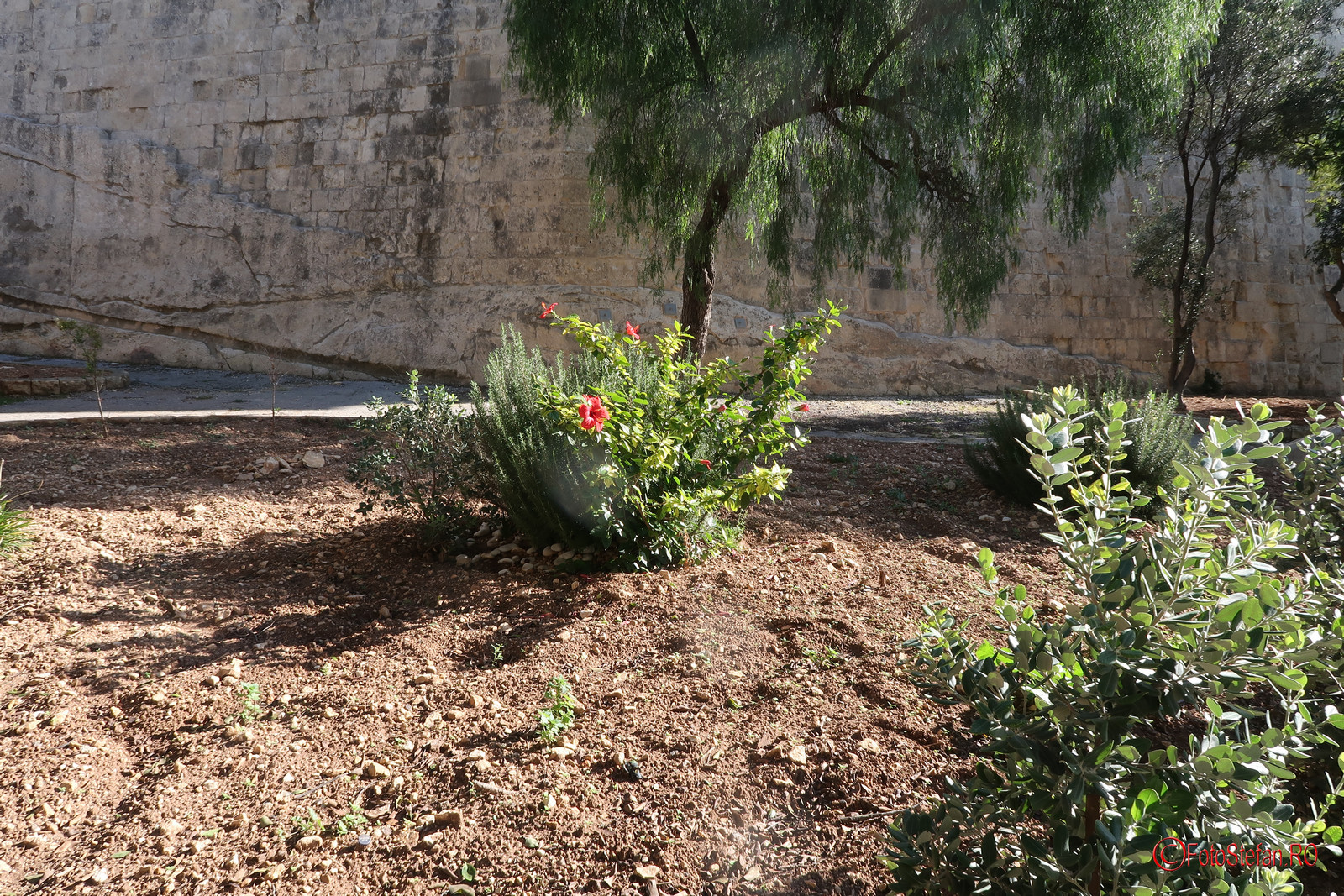 Canon-G7-X-Mark-II-Malta_91.JPG