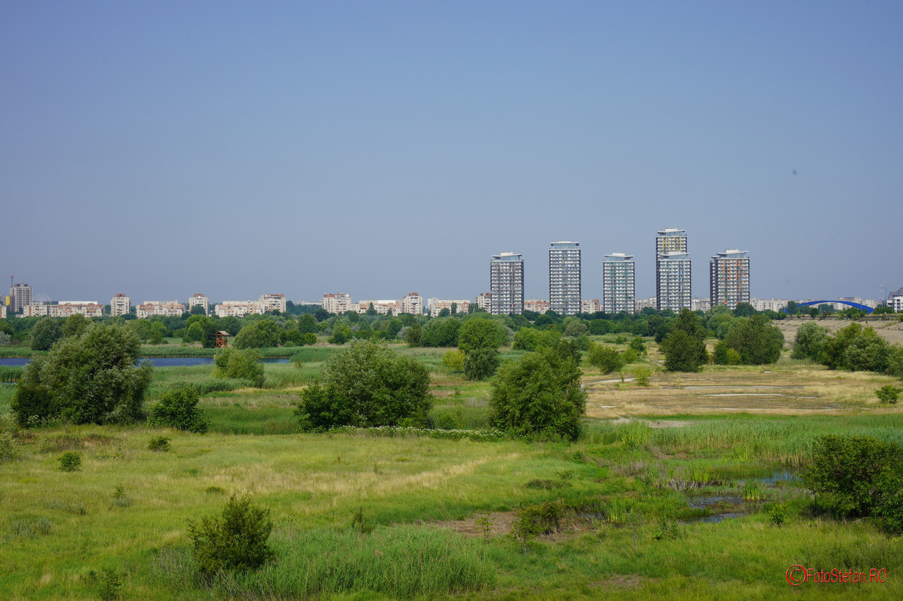 Sony-A7-III-creative-style-landcape.JPG