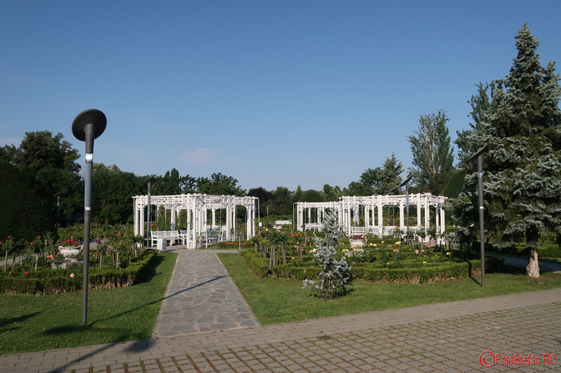 parcul-rozelor-trandafiri-timisoara_24.JPG