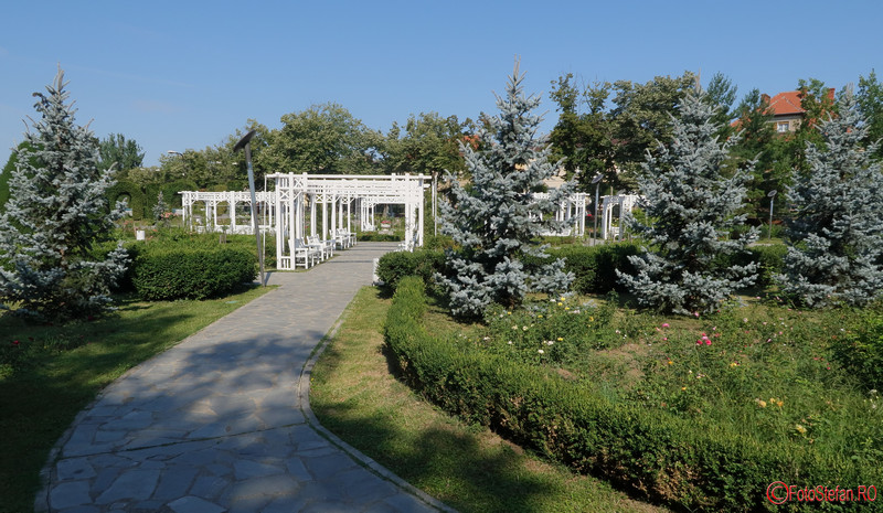 parcul-rozelor-trandafiri-timisoara_51.JPG