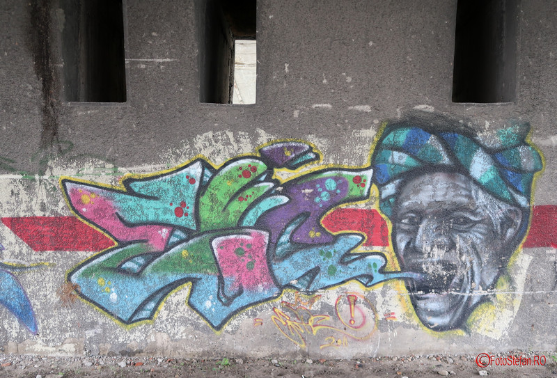 graffiti-timisoara-romania_34.JPG