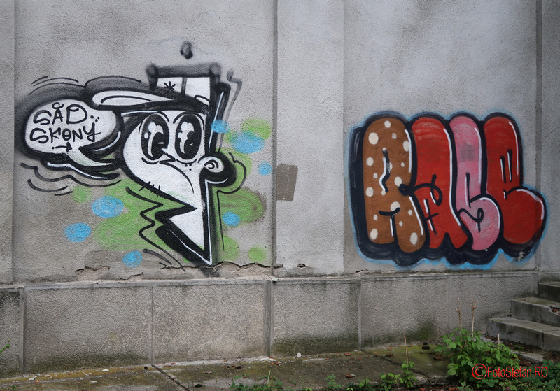 graffiti-timisoara-romania_39.JPG