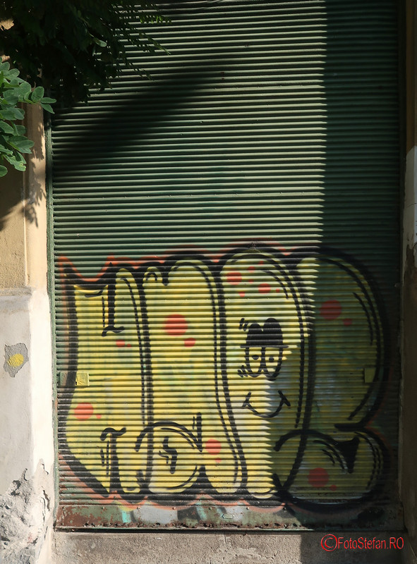 graffiti-timisoara-romania_52.JPG