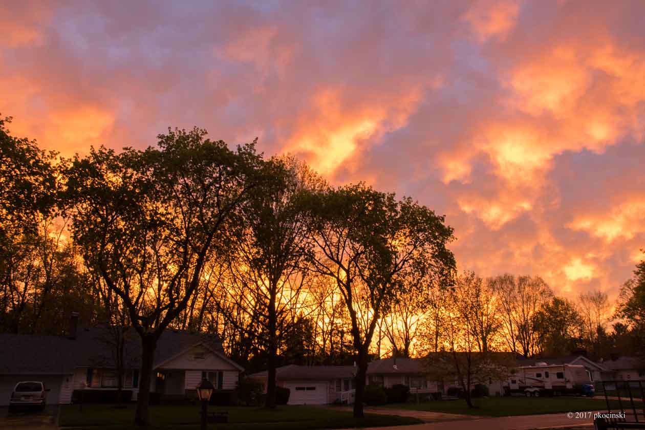 Sunset Surprise